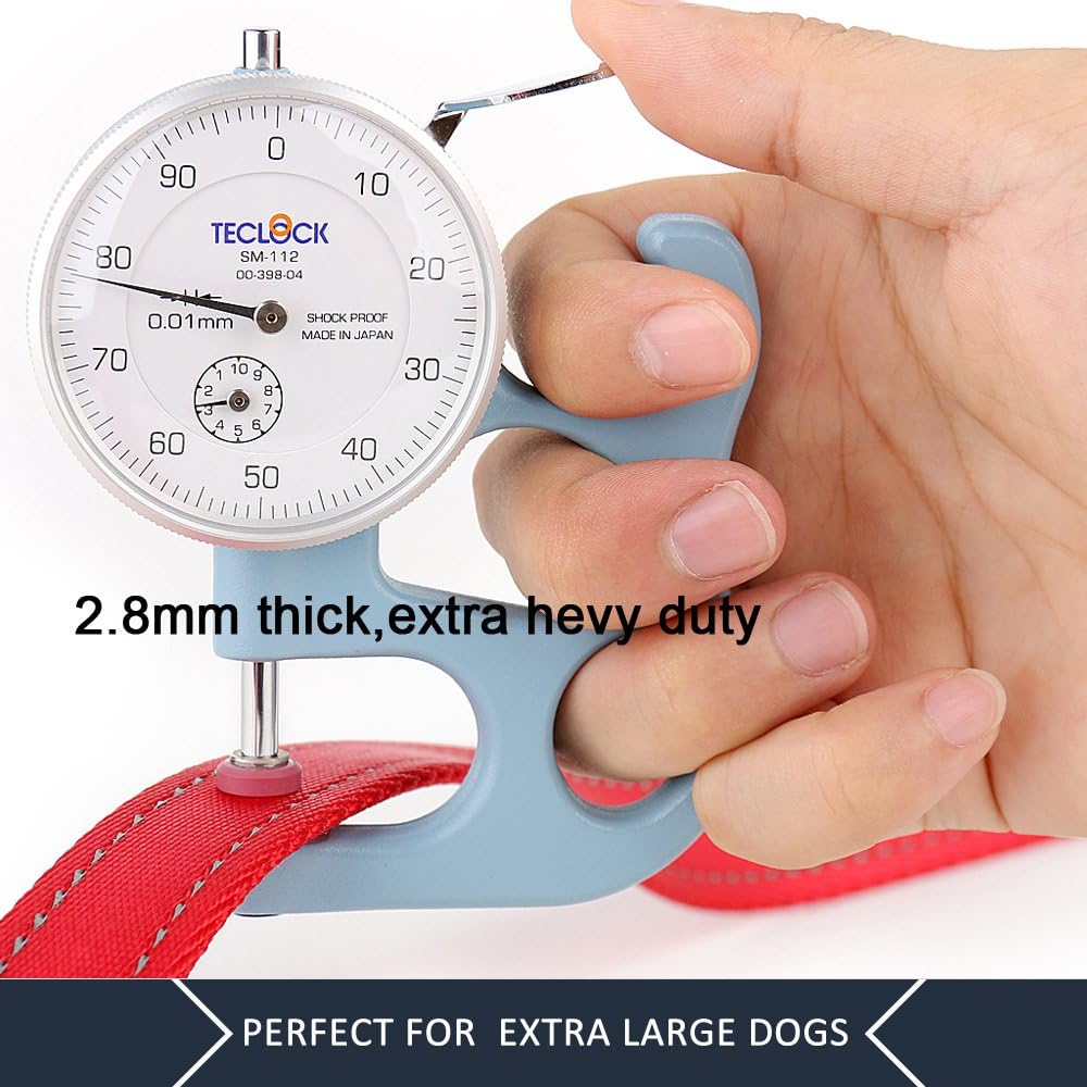 Pet Double Handle Dog Leash, 6ft, Padded, Heavy Duty, Reflective, Red, 2 Handle Leads