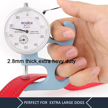 Pet Double Handle Dog Leash, 6ft, Padded, Heavy Duty, Reflective, Red, 2 Handle Leads